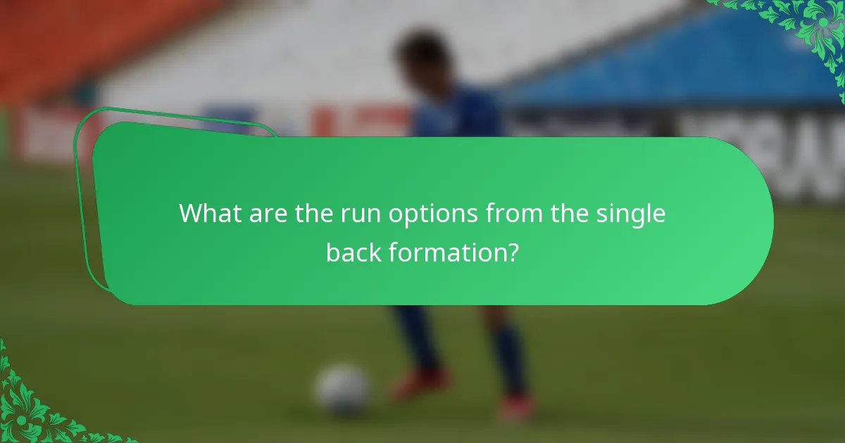 What are the run options from the single back formation?